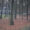 Wonen