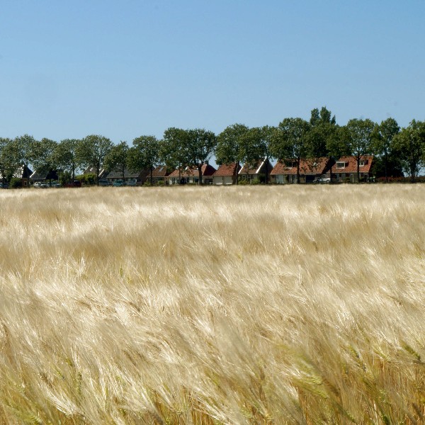 Agrarisch