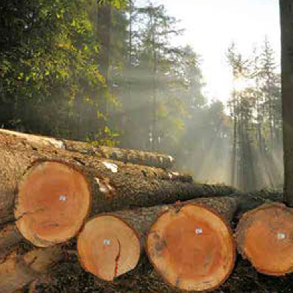 Natuur