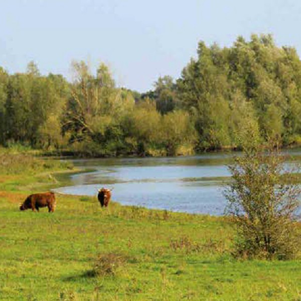 Natuur