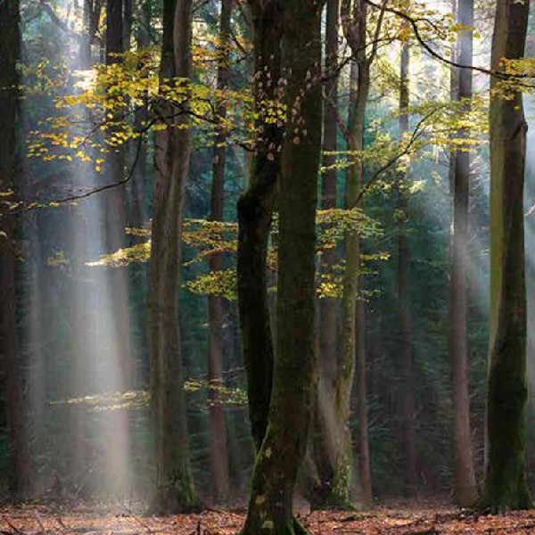 Natuur