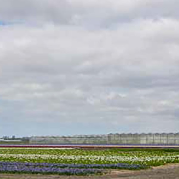 Natuur