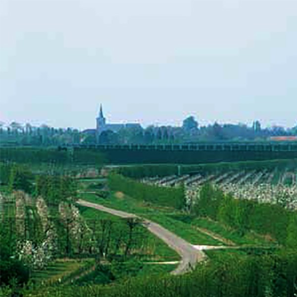 Natuur