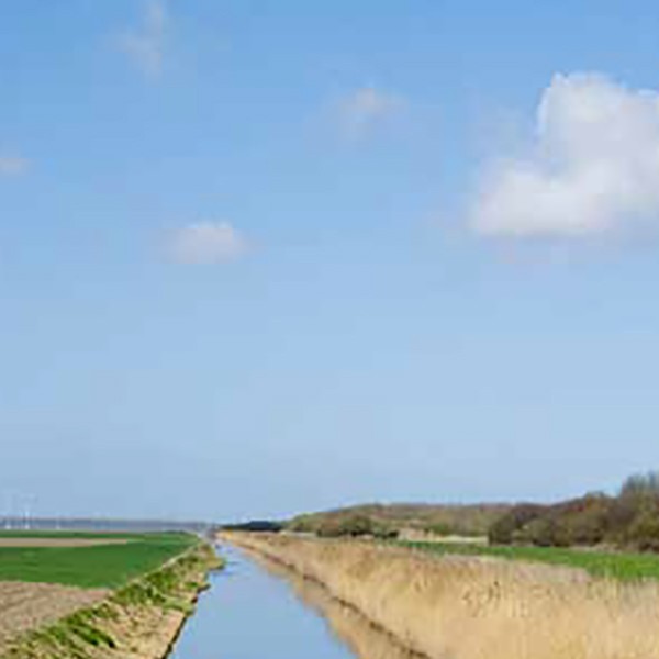 Natuur