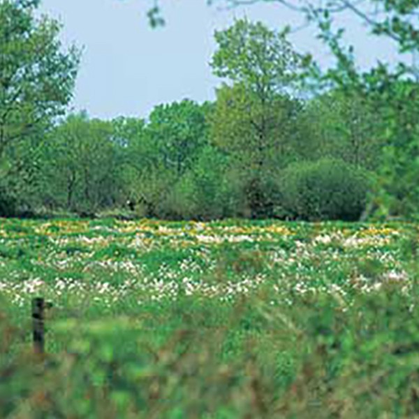 Natuur