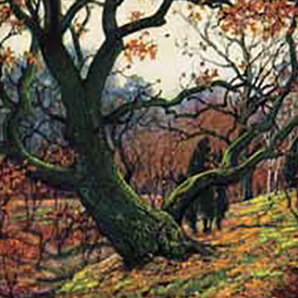 Natuur