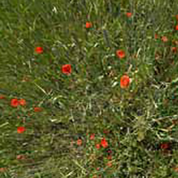 Natuur