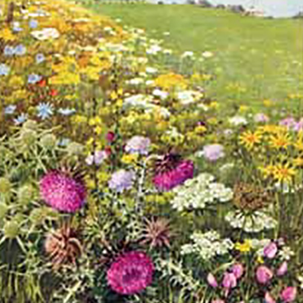 Natuur