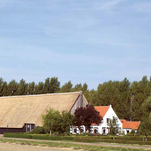 Wonen
