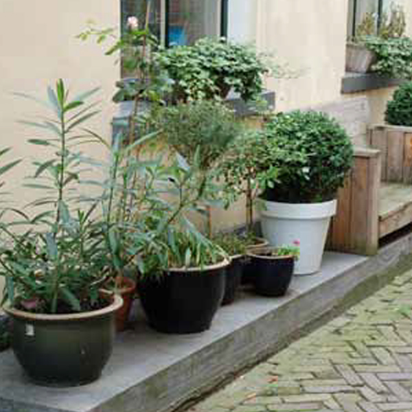 Wonen