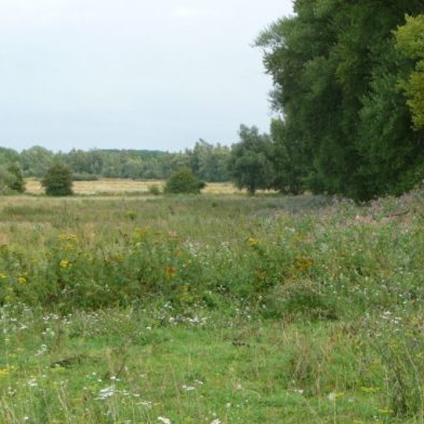 Natuur