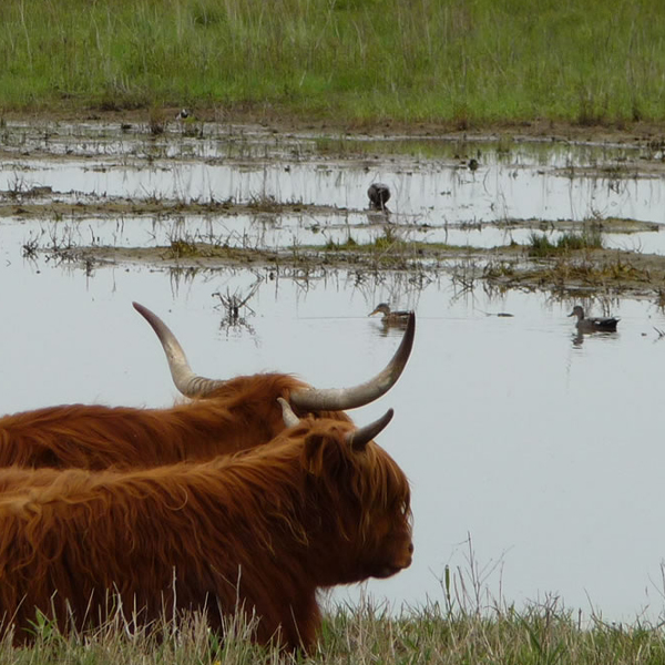 Natuur