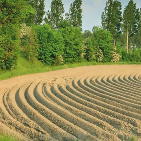 Natuur