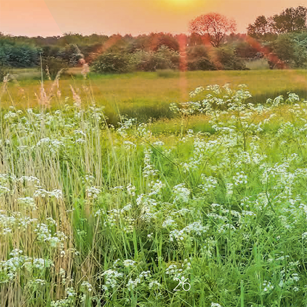 Natuur