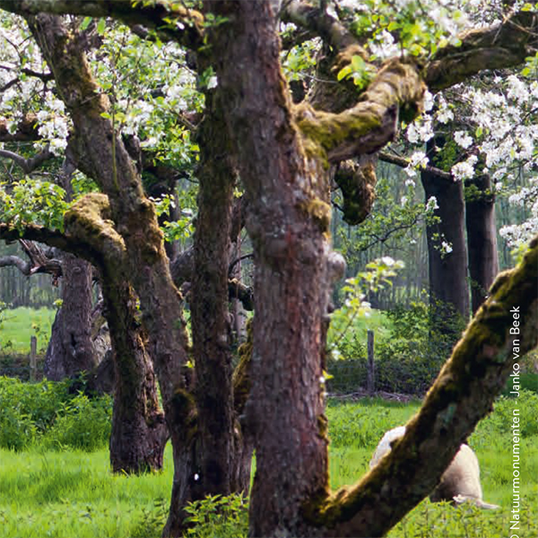 Natuur